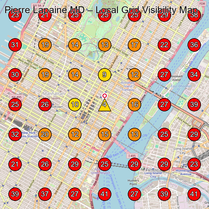 Pierre Lapaine MD GeoGrid visibility map for Medical Spa in New York